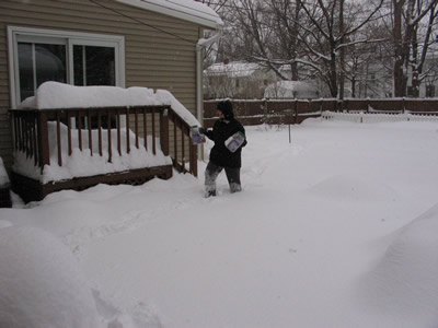 Sue trudges back from the birdfeeder!
