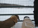 2013 Missouri Trip: Day 4: Dog Park, UHauling and More Packing