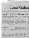News from Casa Caban